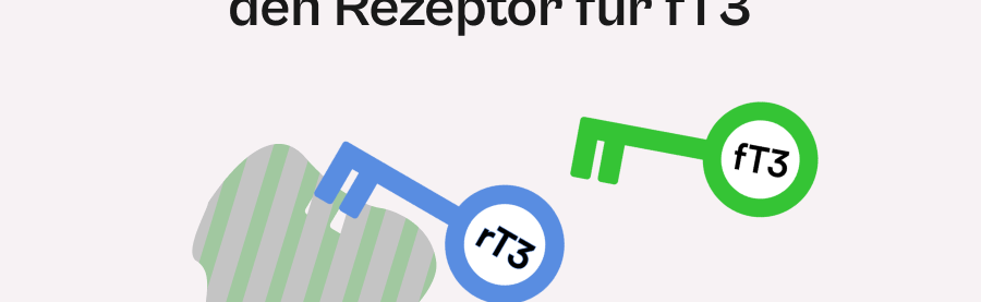 Umwandlungsstoerung_rT3_rezeptor.png